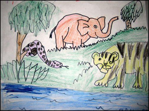 Amazing Animal Art - Third grade with ms. bahoric